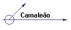 Camaleo