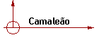 Camaleo